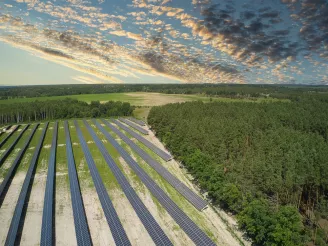 half-cell PV solar plant and forest